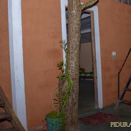 Pidurangala Hostel Sigiriya Ngoại thất bức ảnh