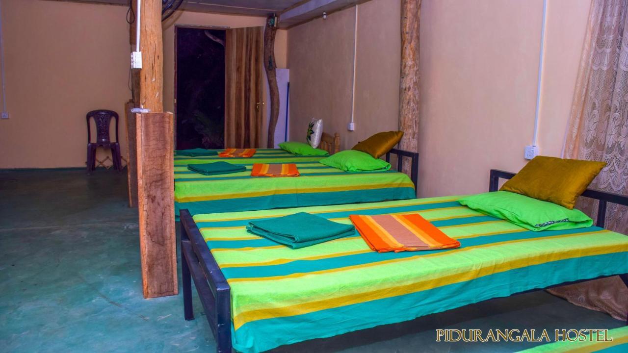 Pidurangala Hostel Sigiriya Ngoại thất bức ảnh