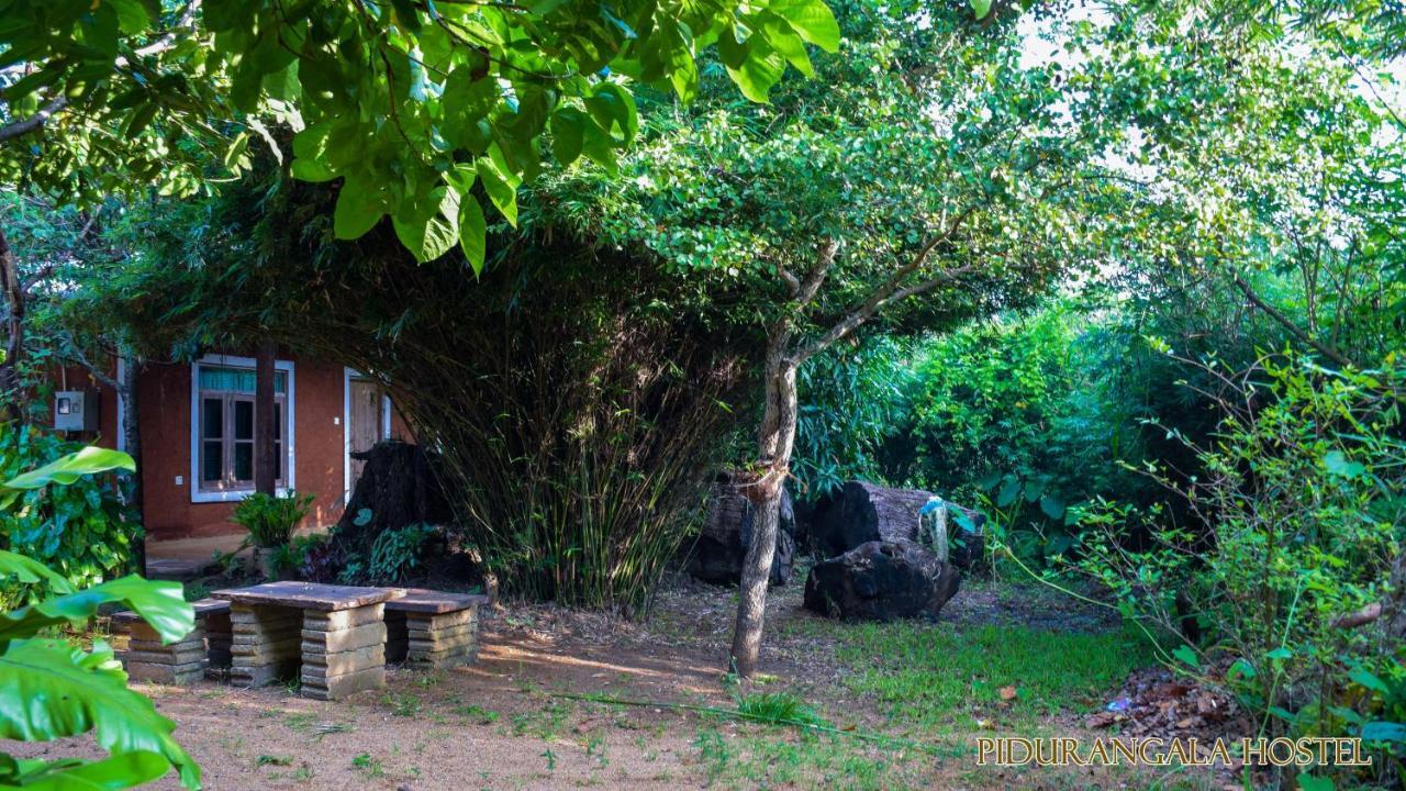 Pidurangala Hostel Sigiriya Ngoại thất bức ảnh