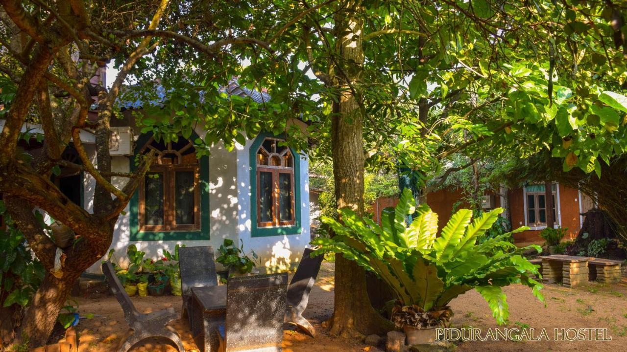 Pidurangala Hostel Sigiriya Ngoại thất bức ảnh
