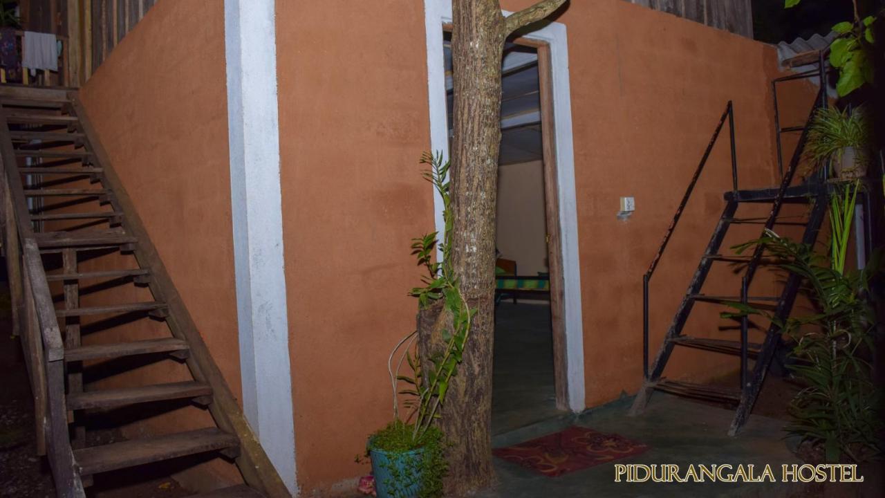 Pidurangala Hostel Sigiriya Ngoại thất bức ảnh