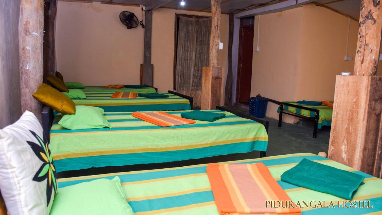 Pidurangala Hostel Sigiriya Ngoại thất bức ảnh